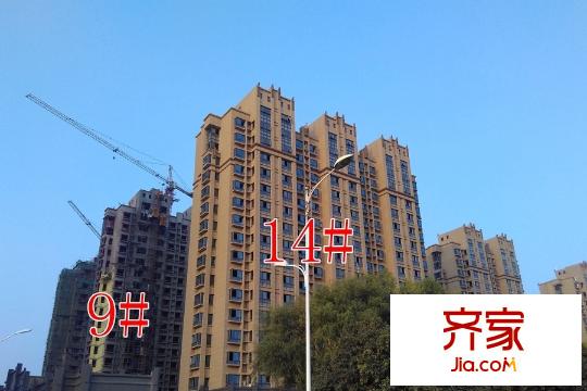 澳東印象城9#14#工地（2015-11-2）