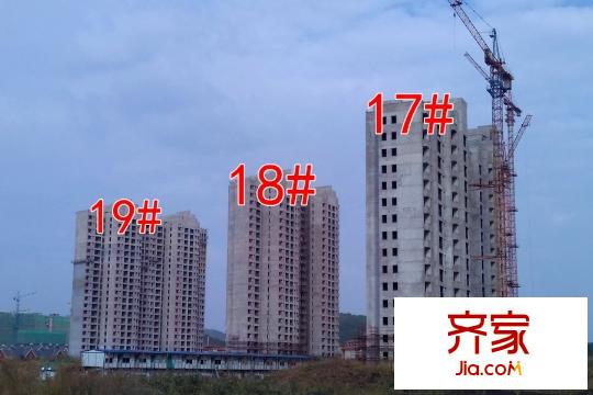 楓林天下17#18#19#工地（2015-10-8）