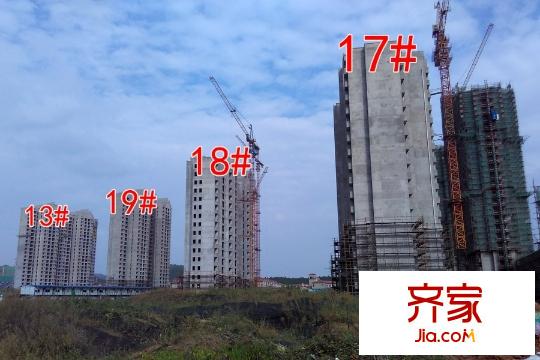 楓林天下13#17#18#19#工地（2015-10-8）
