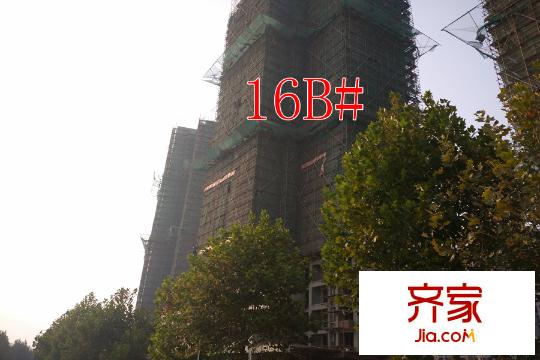 楓林天下16B#樓工地（2015-10-27）