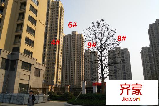 開元翡翠灣4#6#8#9#工地（2015-10-14）