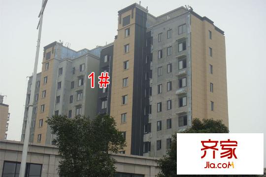 煌庭棕櫚灣1#工地（2015-11-05）