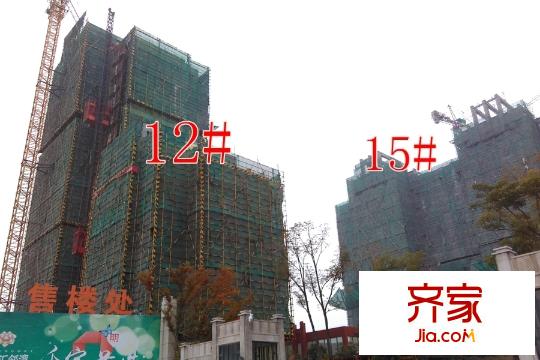 美好匯鄰灣12#15#工地（2015-11-21）