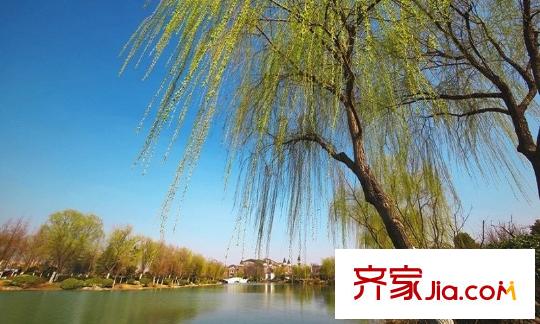 璽悅龍城項目東20米金龍湖風景區(qū)