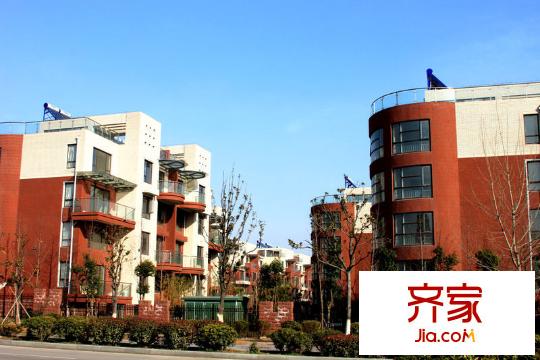 泰康紅郡（2012-02-17）