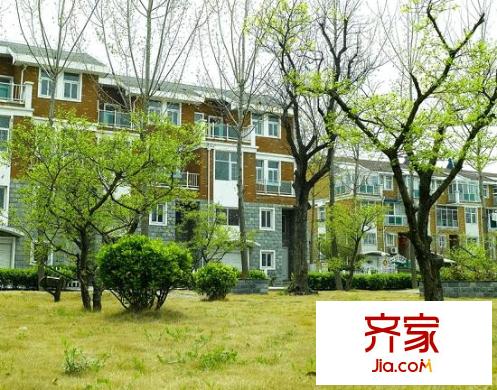 久隆鳳凰城別墅外景圖聯(lián)排