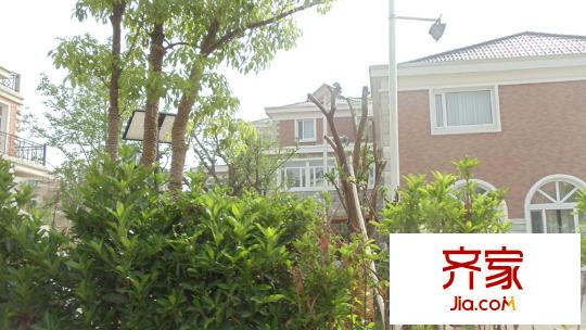 湖森堡工地（2011-5-23）