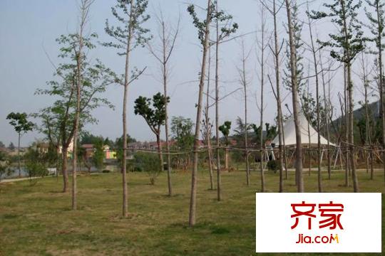 久隆長(zhǎng)島現(xiàn)房（2015-11-20）