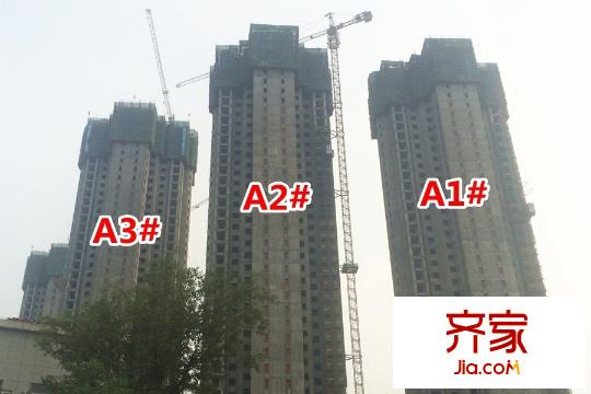 云龍觀邸A1#A2#A3#工地 （2015-9-28）