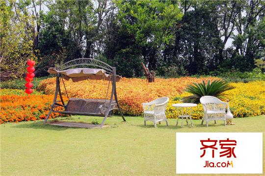 雨潤星雨華府小區(qū)綠化（2015-09-30）