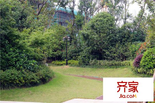 雨潤星雨華府小區(qū)綠化（2015-09-30）