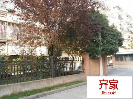 民樂(lè)一村外景圖 
