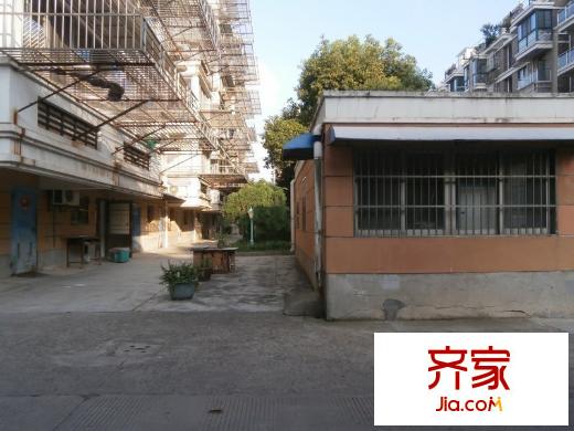 民樂(lè)巷外景圖 