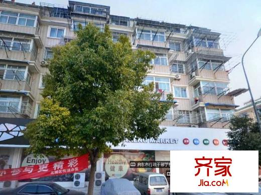 大長(zhǎng)江公寓外景圖