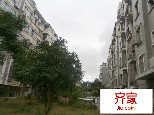 王彭