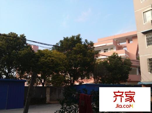 善成小區(qū)外景圖 