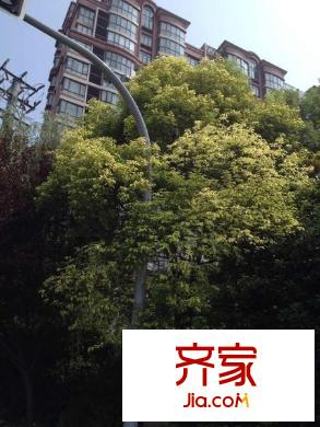海德花園