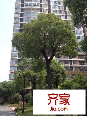 海德花園外景圖  
