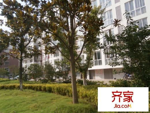 安東小區(qū)外景圖 