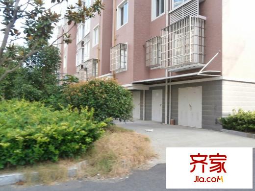 安東小區(qū)外景圖 