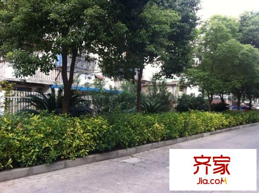 陽光花苑外景圖 