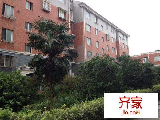 金色家園
