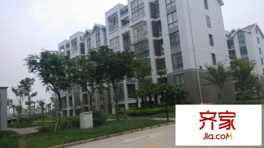 新光小區(qū)外景圖 