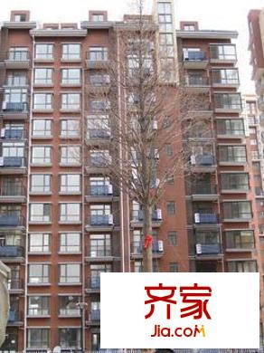 富麗花園外景圖4