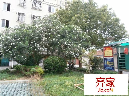 長龍?jiān)吠饩皥D 