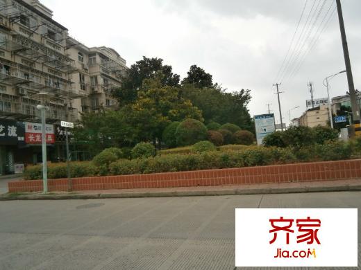 長龍?jiān)吠饩皥D 