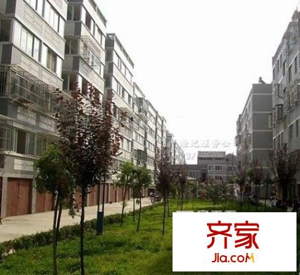 普慶苑外景圖 