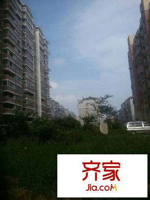 金橋小區(qū)外景圖 