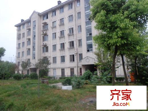 民主新村外景圖 