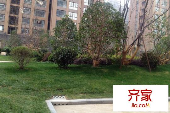 國基桂花小鎮(zhèn)綠化（2015-08-27）