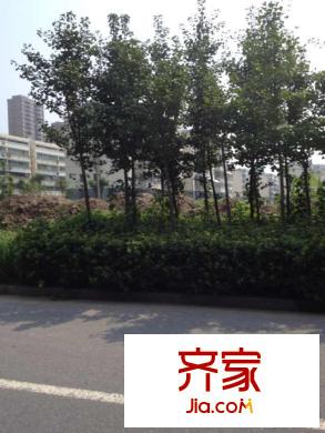 日新小區(qū)外景圖 