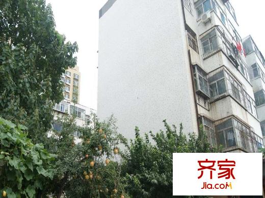 洗衣粉廠宿舍(四平路)外景圖四平路洗衣粉廠宿舍（2015-9-11）