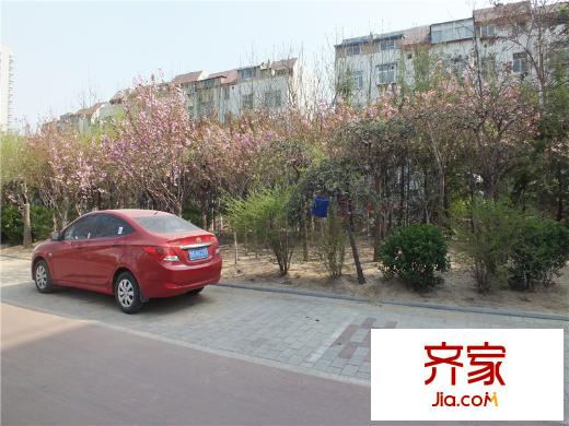 濰城老法院宿舍外景圖 （20140409）