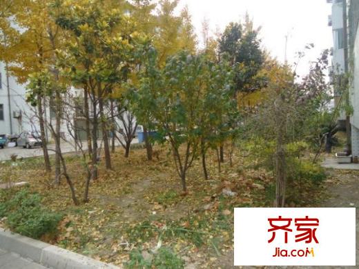 魯偉宿舍外景圖（20121125）