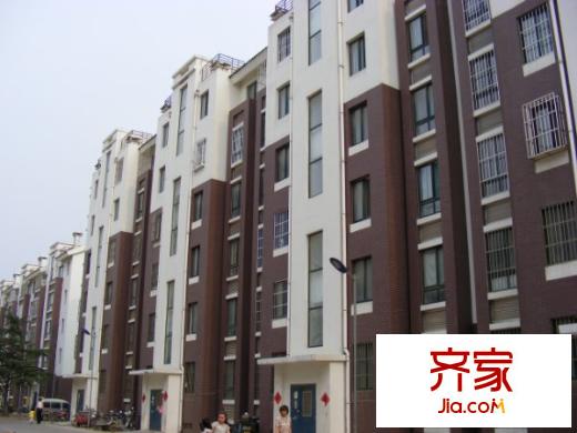 巨龍紡織宿舍外景圖