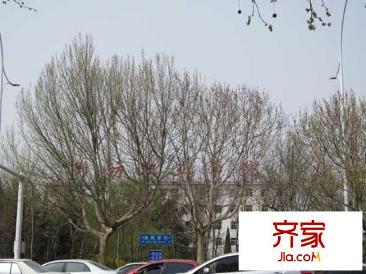市財(cái)政局宿舍外景圖