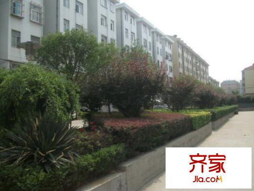 九龍山村小區(qū)外景圖 