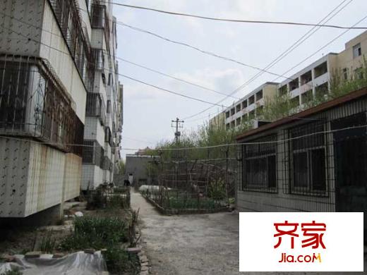 風(fēng)箏協(xié)會宿舍外景圖