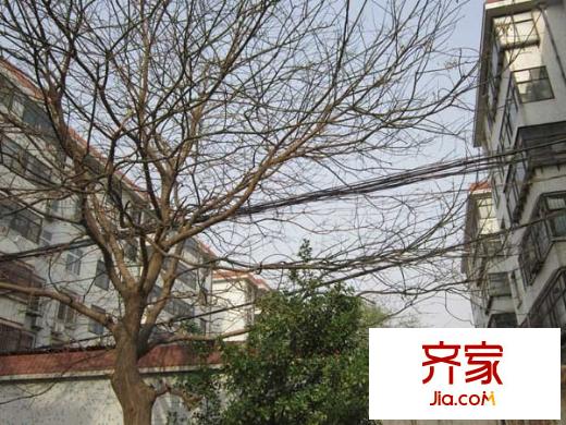 太保宿舍外景圖 