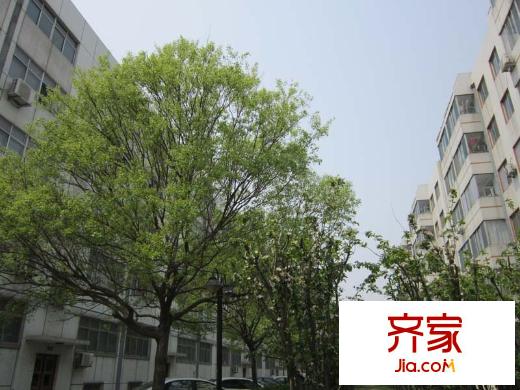 國稅局宿舍(北海路)外景圖國稅局宿舍（北海路）