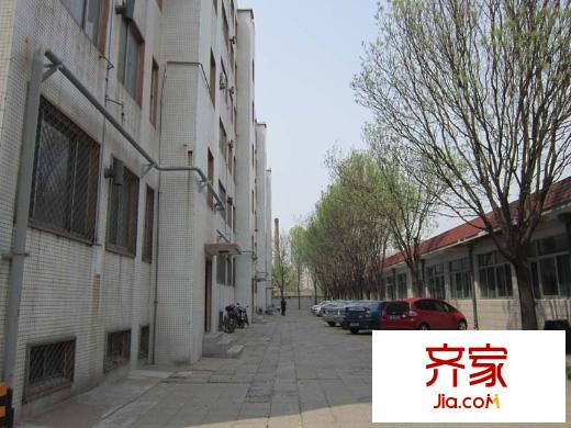 國稅局宿舍(北海路)外景圖國稅局宿舍（北海路）