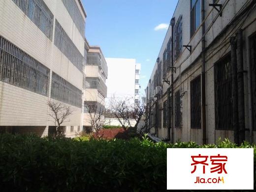 市府宿舍(新華路)外景圖新華路市府宿舍 （20140404）