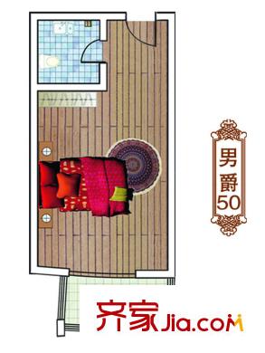 鉑金領(lǐng)域戶型圖A、B棟標(biāo)準(zhǔn)層男爵戶型 1室1衛(wèi)