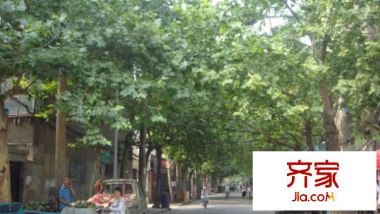 苗圃小區(qū)外景圖 