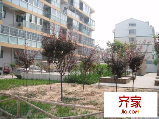 新龍橙堡外景圖小區(qū)內(nèi)景