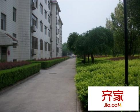 地稅局宿舍外景圖 